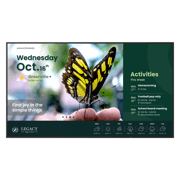 Pantalla BenQ ST6504 65" 4K UHD 3840x2160 Panel ADS 60 Hz 99% sRGB