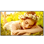 Pantalla LG 43UL5Q 43 pulgadas 3840 x 2160 UHD 16 Hours 7 Days 500 nits