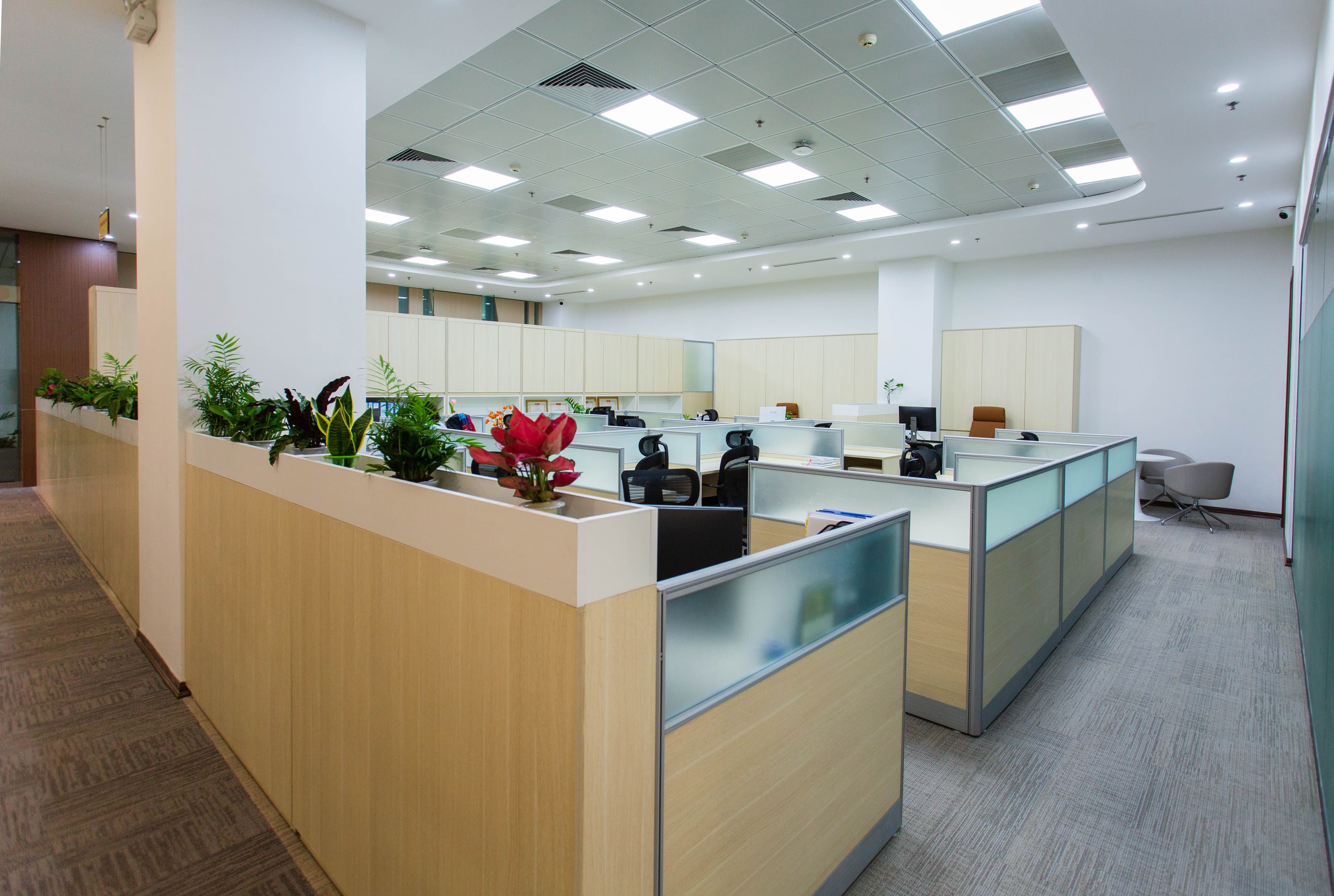 Oficinas en Narvarte, Benito Juárez, Ciudad de México