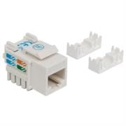Jack Intellinet Cat 5e de Impacto(Keystone) Color Blanco
