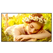 Pantalla LG 65" 65UL5Q digital signage 3840 × 2160 UHD 500 nits